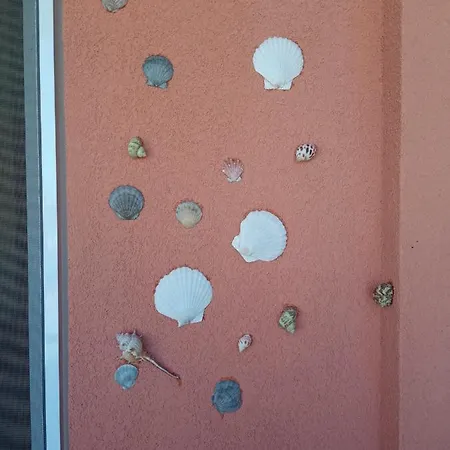 студио 洛泽内茨