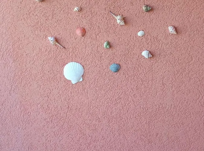 ホームステイ студио *