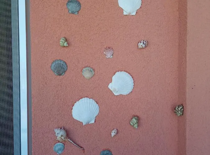 студио Lozenets